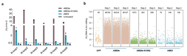 图2：Cas9非依赖DNA 脱靶和RNA脱靶评价