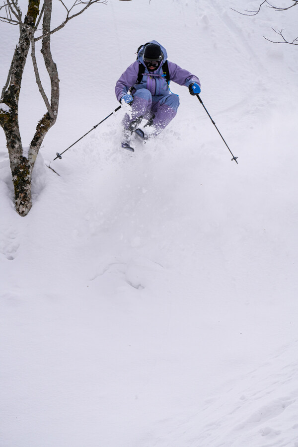 图3：经典二合一BACKCOUNTRY POWDER JACKET