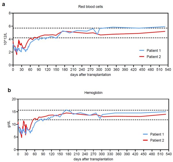 移植后红细胞和总体血红蛋白变化趋势