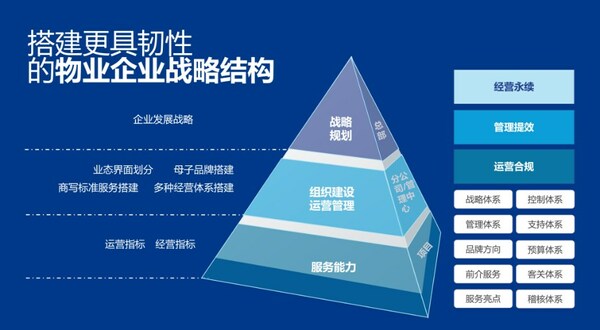 高力国际物业企业战略结构模型