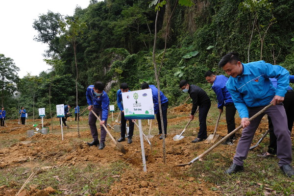 当地民众参与种植树苗